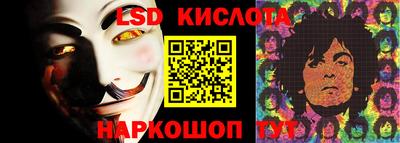 стаф Свободный