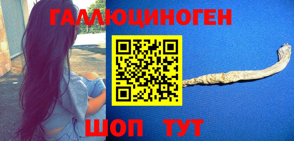 Галлюциногенные грибы GOLDEN TEACHER Норильск
