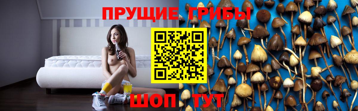 Псилоцибиновые грибы Psilocybe  Вход с VPN  Норильск 